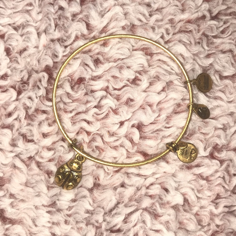 DISCONTINUED Alex & Ani Ladybug Bracelet